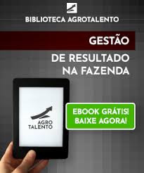Flavio Abdo Saraiva Santos: em 2012, graças ao mercado futuro e de opções,  tivemos 40% da margem liquída no confinamento