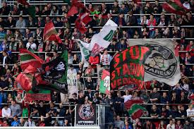 Terugblik zulte waregem twee minuten kampioen. Zulte Waregem Komt Met 1 200 Supporters Naar Arnhem Foto Gelderlander Nl