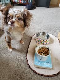 Nom nom is healthy, fresh food for cats and dogs formulated by vets. Toph S Story From Sick And Picky To Healthy And Happy Nom Nom