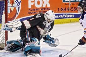 We did not find results for: Vernon Vipers Fall To West Kelowna Warriors In Shootout Vernon Morning Star