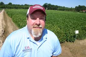 Soybean yields skyrocket in Arkansas fields