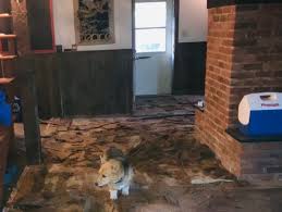 Shaw flooring for every room and need in a variety of colors, patterns, and textures. Qfsnw4stqgbjdm