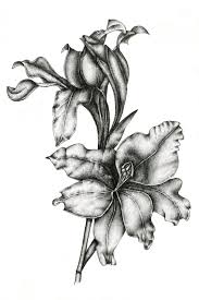5 out of 5 stars. Gladiolus Drawing By Irina Laskin Artmajeur