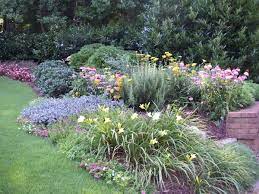 Perennials Add Pizazz To Small Front Yard Marietta Ga Metro Atlanta Perennial Garden Design Front Yard Landscaping Design Low Maintenance Landscaping Front Yard