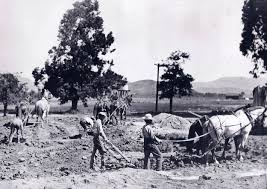 History — Santee United Methodist Church