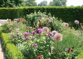 Hedges can be planted in intricate patterns to form a knot garden. French Garden Design
