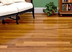 Balsa trees beech tree hickory trees mahogany trees maple tree oak trees teak trees walnut trees. Factors To Consider When Choosing Brazilian Teak Wood Flooring Everything Simple