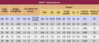 Nmsu Sheep Production Management Requirements During