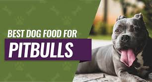 American pitbull heavy bone puppies male or female both are available in delhi pure breed good quality pup for new home all india delivery available m. Best Dog Food For Pitbulls 8 Picks For Puppies Seniors More
