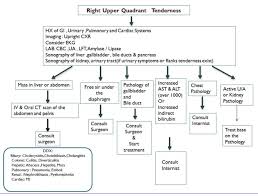 The human abdomen is divided into quadrants and regions by anatomists and physicians for the purposes of study, diagnosis, and treatment. An Algorithm For Right Upper Quadrant Tenderness Img Imaging Lab Download Scientific Diagram