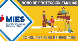 Este domingo 18 de abril finaliza el plazo para solicitar el pago de abril del bono ingreso familiar de emergencia (ife), beneficio creado por el gobierno para ayudar a la población a paliar los efectos socioeconómicos del coronavirus. Consultar Bono De Emergencia Contingencia Por Cedula Ecuador 2021