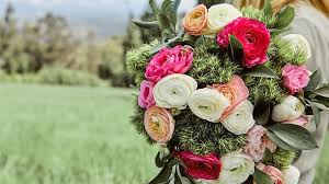 To find the best flower delivery service, we ordered 29 arrangements from 13 popular brands, sending the flowers to insider reviews team members all over the country. The Best Flower Delivery Services In 2021 Cnet