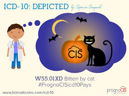 Pin On Icd 10 Codes Humor