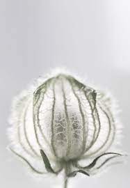 pin on natural wonders
