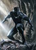 Image result for all info about black panther