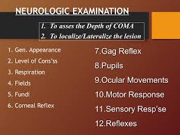 Image result for Coma Exam