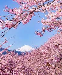 Pin On Nature
