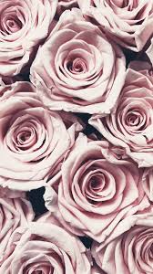 Pin Ot Polzovatelya Ella Cruz Na Doske Fond D Ecran Fioletovye Rozy Cvetochnye Fony Rozovye Piony