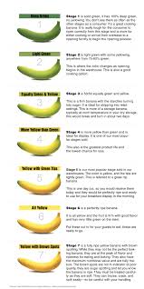 30 Complete Banana Chart