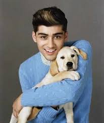 One Direction Puppies Best Magazine Cover Ever Zayn One Direction Lyrics One Direction