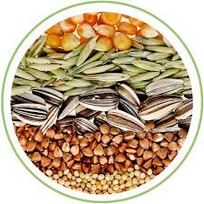 No compres con revendedores faciles! Empresas De Semillas Agricolas Semillas A Granel Semillas Organicas Semillas No Ogm Semillas Transgenicas