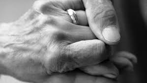 Cea mai frumoasa poveste de dragoste. O Poveste De Dragoste AdevÄƒratÄƒ Cat ViaÅ£a De LungÄƒ Webforcluj