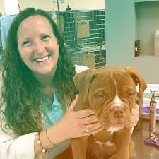 At all pets animal hospital, we recognize the strong bond between people and their pets. Home Village Oak Veterinary Hospital