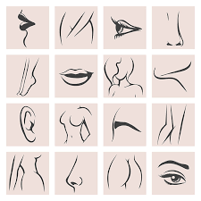 Download 3,200+ royalty free female human body parts vector images. Female Body Parts Set By Olena1983 Thehungryjpeg Com