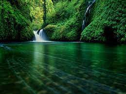 Android Wallpapers 640 480 Dailymobile023 Waterfall Waterfall Wallpaper Forest Waterfall