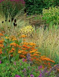 Patrick Spargur (pspargur)