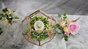 Get latest info on terrariums, glass terrarium, suppliers, manufacturers, wholesalers, traders, wholesale suppliers with terrariums prices for buying. Rose Gold Pink Glass Regular Dodecahedron Geometric Terrarium Decor Centerpiece Youtube