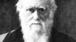 Lessons from Darwin, too :: Understanding Animal Research