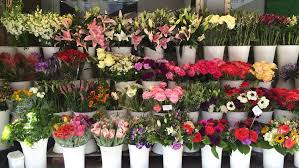 Maybe you would like to learn more about one of these? 10 Best Florists In San Francisco For Fresh Bouquets Or Delivery