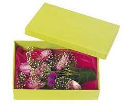 2 i think you are behaving in a very silly way. Petal Passion Small Box With Flowers Ammon Id 83406 Ftd Florist Flower And Gift Delivery