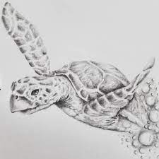 Sea Turtle Drawings By Dbrh Draw Drawing Expression Realistic Sketch Sketchbook Drawing Realismdraw Turtle Sketch Sea Turtle Drawing Sea Turtle Art