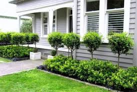 56 Trendy Garden Design New Zealand Auckland Front Yard Landscaping Design Backyard Landscaping Yard Landscaping