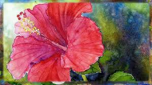 Moga amalan kita semua diterima. How To Draw Flower Hibiscus Cara Menggambar Bunga Raya Oil Pastel Tutorial Youtube
