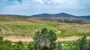 Kaylee Reithmann spinner kick hardcore loop