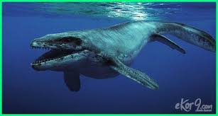 Giant sequoia dinobatkan sebagai pohon terbesar di dunia dengan volume batang mencapai 1.487 meter kubik. 20 Dinosaurus Reptil Dan Hewan Prasejarah Terbesar Dunia Fauna Hewan Binatang Tumbuhan Dinosaurus Reptil Hewan