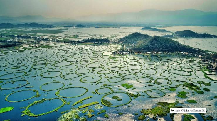 Loktak Lake & Keibul Lamjao Image 1