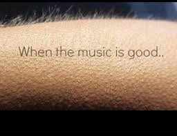 When The Music Is Good That You Get Goosebumps Best Feeling Ever Music Quotes Good Music Music Lyrics