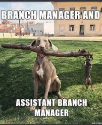 Jestmeme Jestmemecom Profile Pinterest