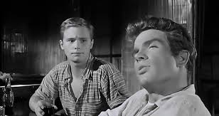 Distributie warren beatty, angela lansbury. All Fall Down 1962 Photo Gallery Imdb