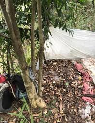 No twitter, grande maioria dos internautas comemorou o fato, outros se mostraram surpresos com a captura de. Brazilian Cops Hunt For Career Criminal 32 Who Broke Into A Farm And Killed Familiy Of Four Daily Mail Online