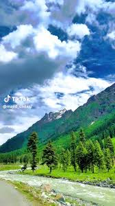 Profile for Heera Persaud