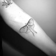 Luna moth | Body art tattoos, Luna moth tattoo, Lunar moth tattoo