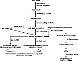 The Flow Chart Of Gene Expression Analysis And As Detection