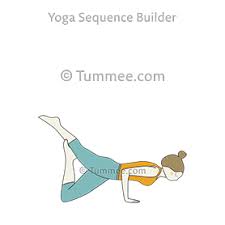 One Legged Four Limbed Staff Pose Variation Yoga Eka Pada Chaturanga Dandasana Variation Yoga Sequences Benefits Variations And Sanskrit Pronunciation Yoga Yoga Poses Yoga For Arthritis