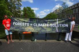 To my mind, tropical rainforests are very important for our planet because they are home to a great variety of plants, insects, birds and animals. Climate Change Solutions Forest Restoration Might Be One Of The Best Ways To Fight Climate Change Vox