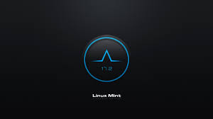 Green dragon logo, kali linux, kali linux nethunter. Linux Mint Hd Wallpaper Linux Mint Mint Background Mint Wallpaper